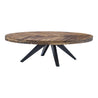 Parq Oval Coffee Table (4163973939289)